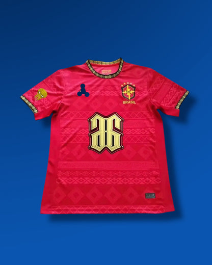 Camiseta Brasil x Hades 66