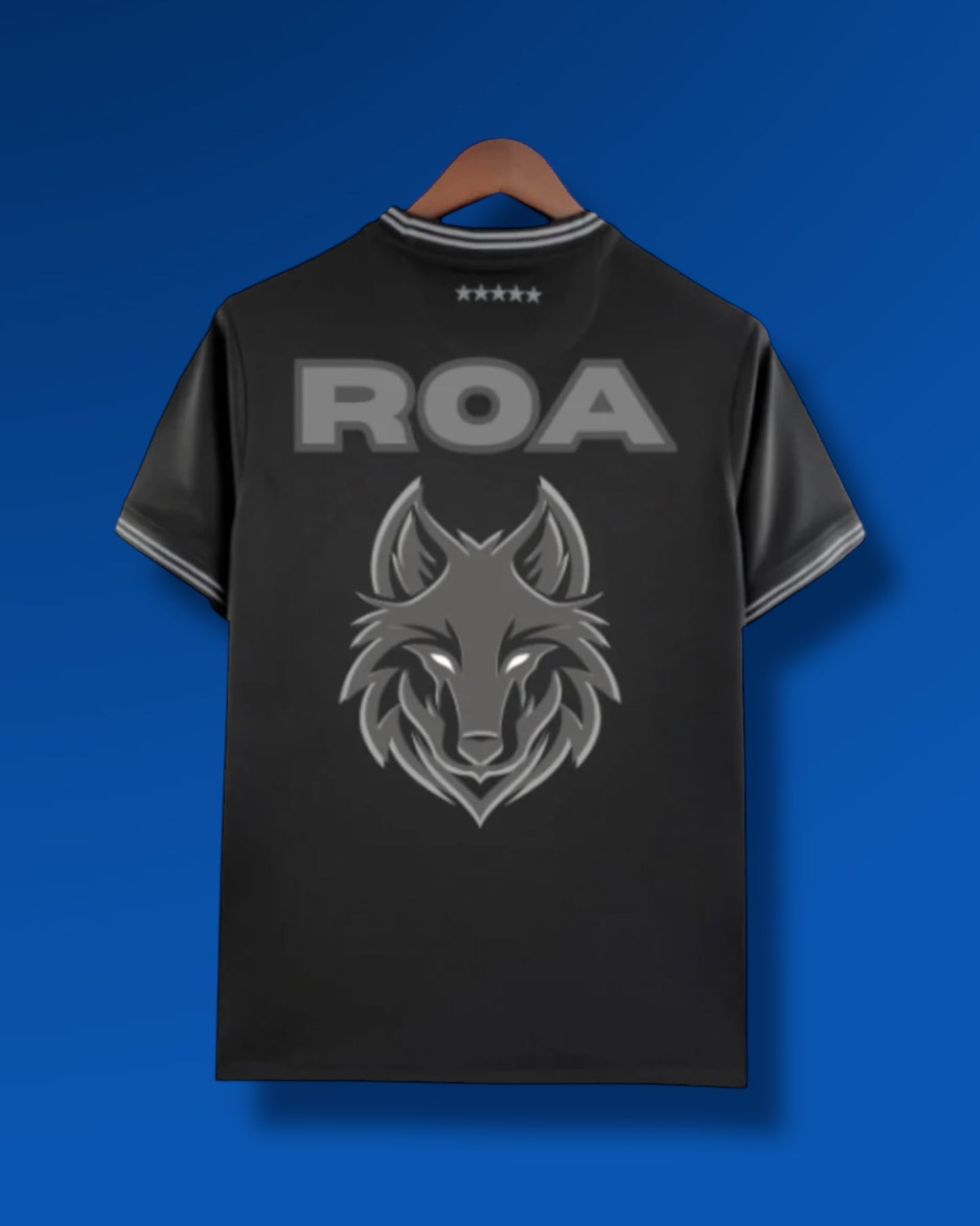 Camiseta Brasil x ROA