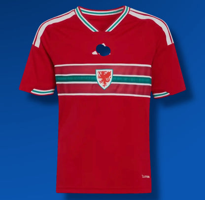 Camiseta Gales 2026