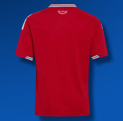 Camiseta Gales 2026